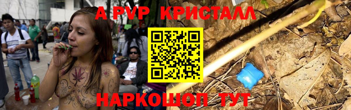 Alfa_PVP СК КРИС Владикавказ