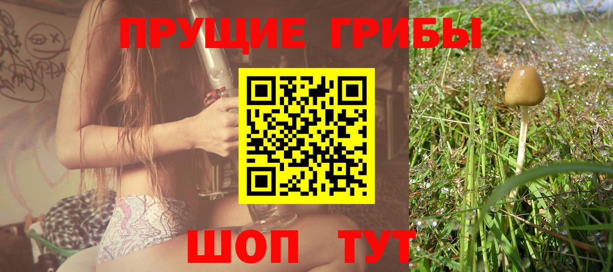 Псилоцибиновые грибы мицелий  Вход с VPN  Псилоцибиновые грибы MAGIC MUSHROOMS  Владикавказ 